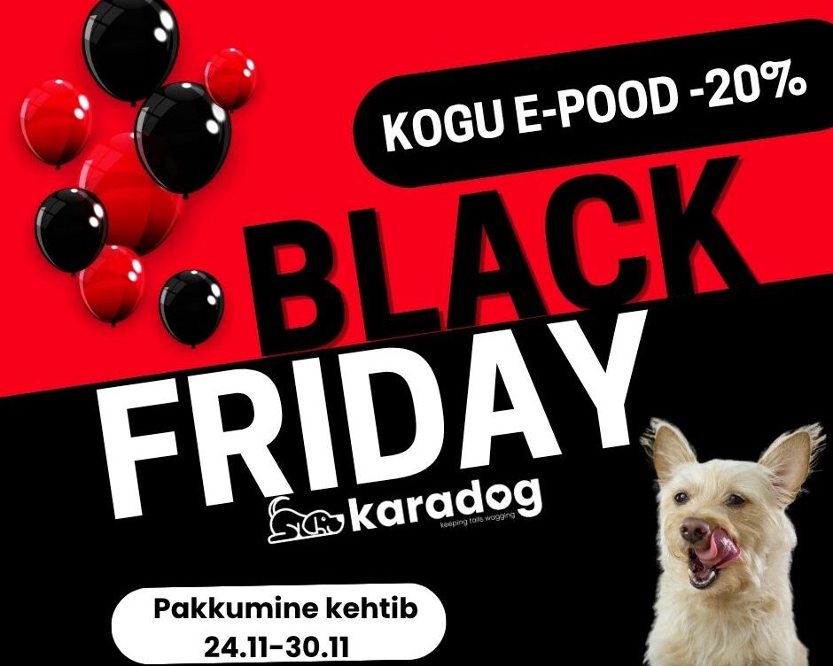 black friday