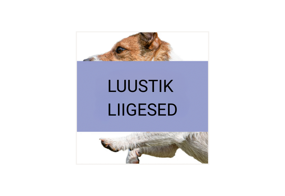 liigesed luustik